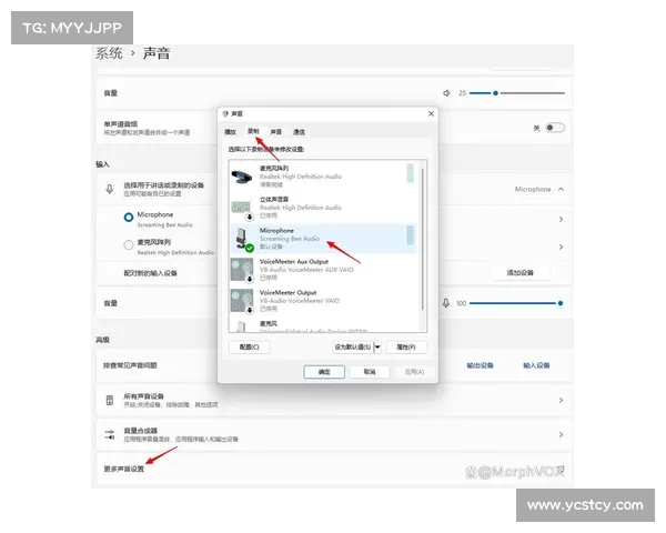 探索MorphVox Pro强大功能让语音变换与音效编辑更加轻松有趣 探索MorphVox Pro强大功能让语音变换与音效编辑更加轻松有趣