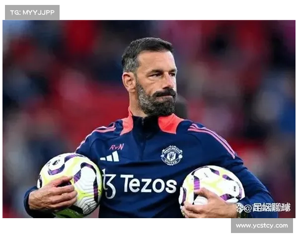 大卫路易斯在足球场上主要担任何种位置？